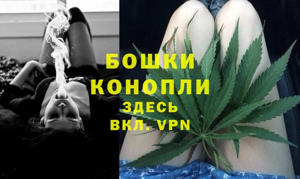 дурь Бронницы