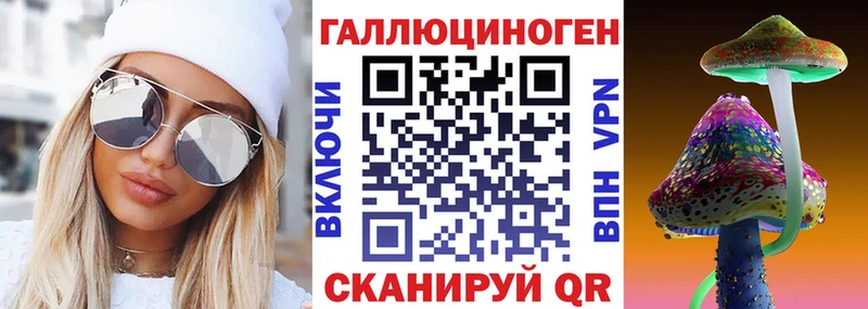 mega зеркало  Нюрба  Галлюциногенные грибы Psilocybe  закладки 